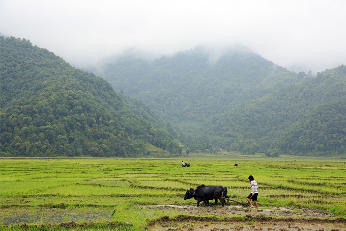 Agriculture